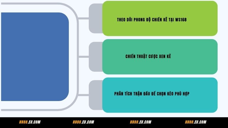 Chiến thuật đặt cược đá gà WS168 tại NN88 hiệu quả