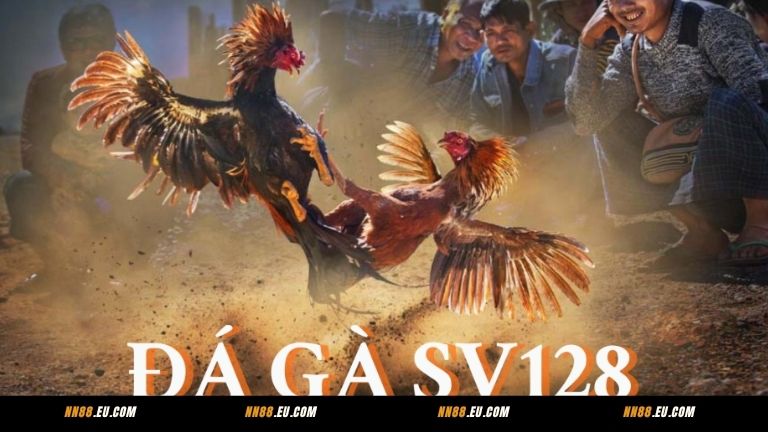 Đá gà SV128 tại NN88 có gì hấp dẫn người chơi